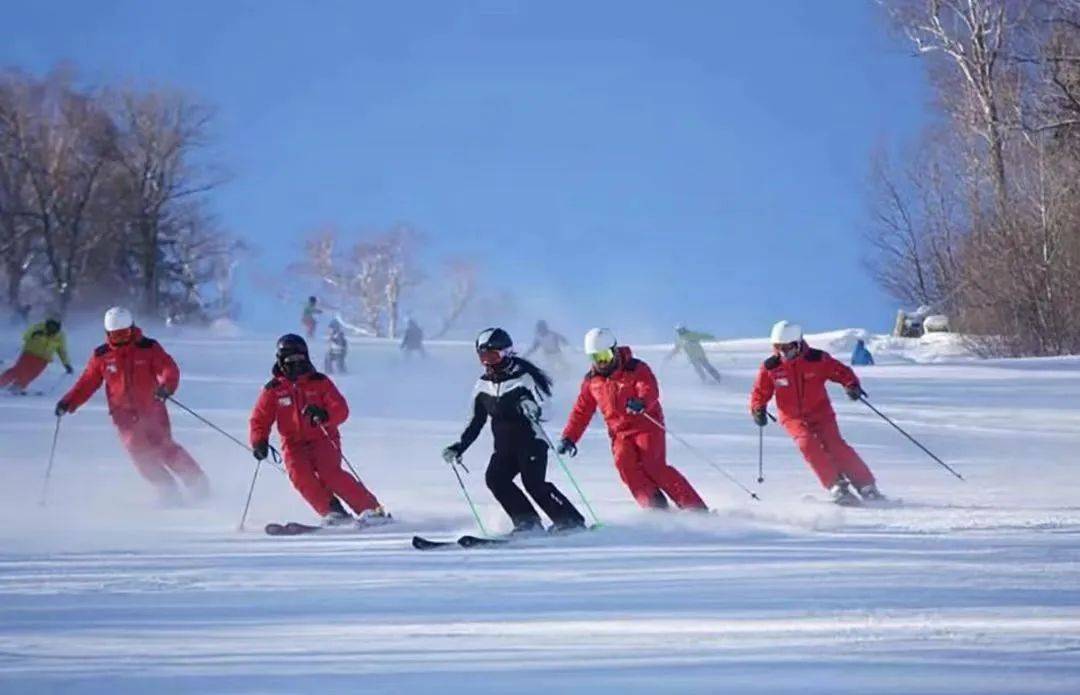 关于2025年冰雪运动会，冰上飞驰点燃激情的信息