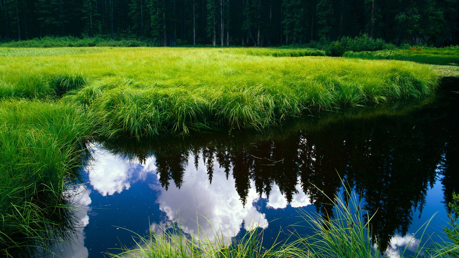 开云体育下载APP-东契奇赛季数据再创新高，东契奇这个赛季数据