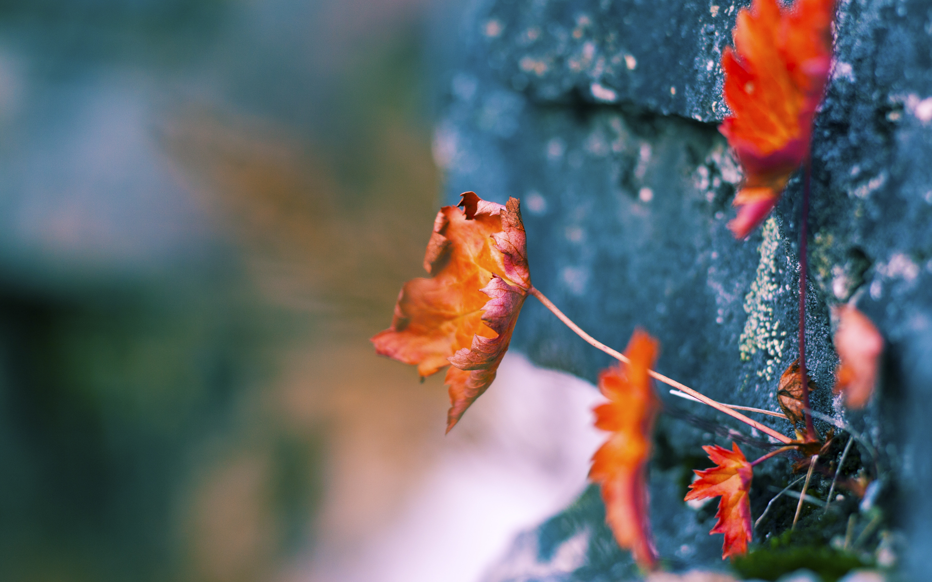 开云体育下载入口-皇家马德里客场3-0完胜莱加内斯，积分紧追巴萨，皇家马德里 主场