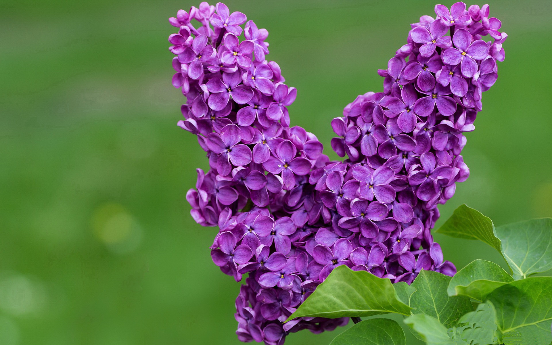 青训课程设计不符合实际需求,青训课程设计不符合实际需求怎么办