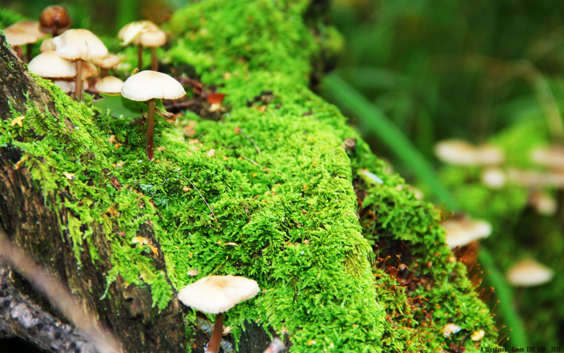 哈登掌控比赛节奏快船全员状态在线,哈登打快船数据