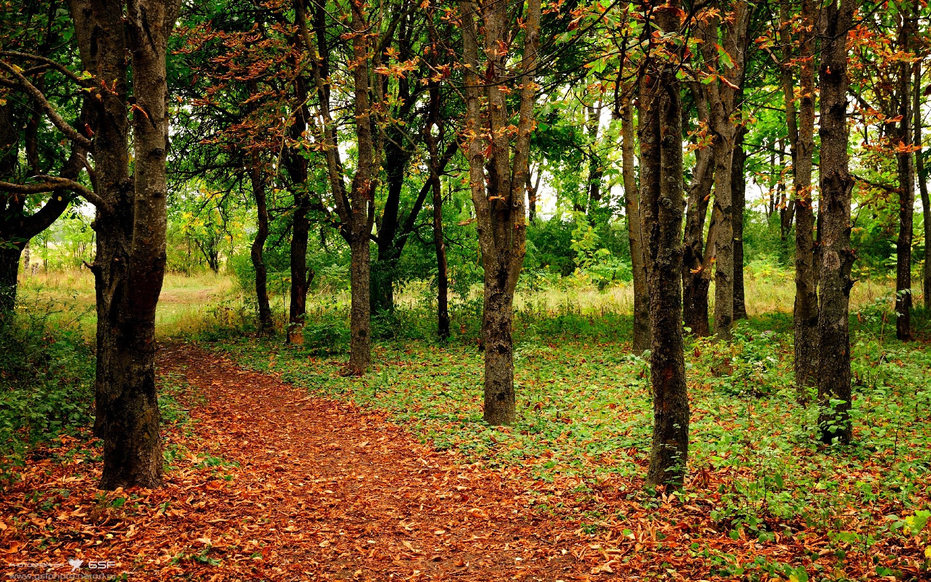 kaiyun app download-女子橄榄球加速职业化进程，女子橄榄球职业联赛