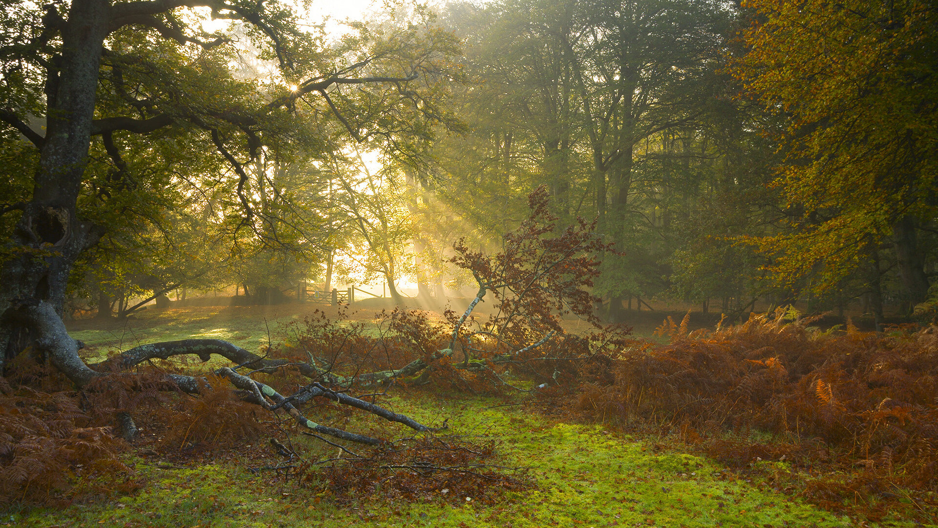 开云娱乐app安全登录-恩多耶-布鲁阿尔赛后感谢团队支持，恩布里奥百度百科