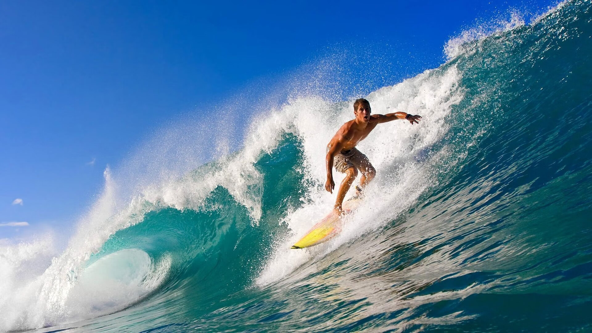 影响深远：“绿色篮球”环保行动深入每场比赛，绿色环保行动活动项目有哪些